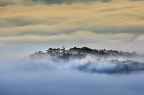 都市重生之王者歸來(lái)小說(shuō)林風(fēng)江雨煙在線(xiàn)閱讀