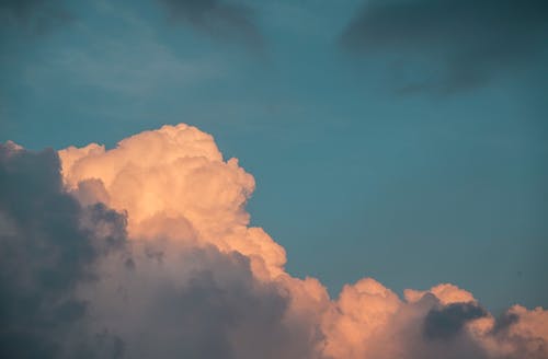傅爺的小祖宗又鬧離婚了重生童鹽鹽傅謹小說(shuō)無(wú)彈窗閱讀