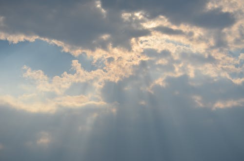 秋風(fēng)引原文、翻譯及賞析