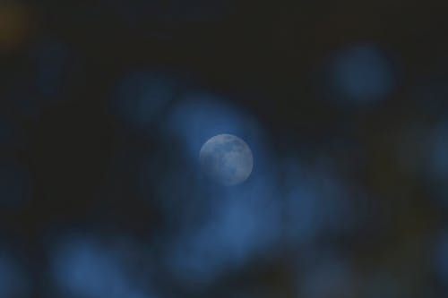 仙婿為帝小說(shuō)無(wú)錯版葉羽顏雪大福喵閱讀