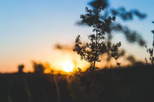 大佬的白月光她黑化了重生文江蕪云景琛小說(shuō)未刪節閱讀