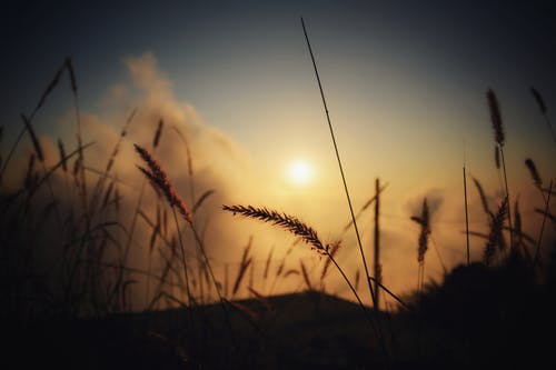 元宵節溫馨祝福語(yǔ)（精選50句）