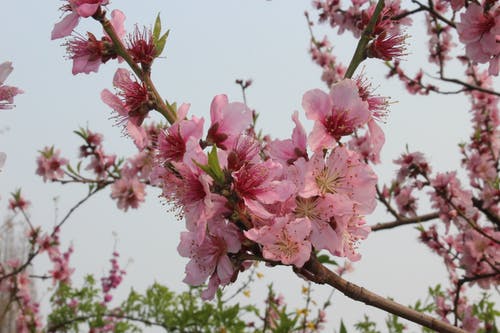 關(guān)于同學(xué)友誼的詩(shī)句