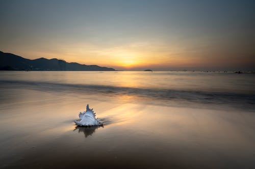 殺破狼經(jīng)典臺詞