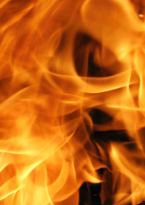 少年風(fēng)水師小說(shuō)by失野鬼七殺陳殺無(wú)刪減閱讀