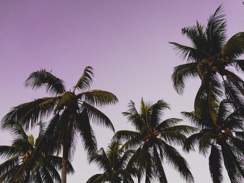 你希望我生病我希望你得絕癥小說(shuō)顧汐龍慕辰無(wú)錯版閱讀