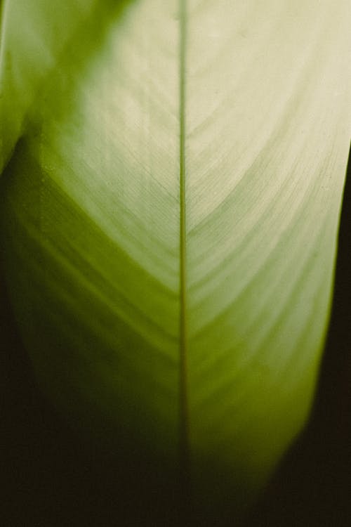【實(shí)用】運(yùn)動(dòng)會(huì)日記范文5篇
