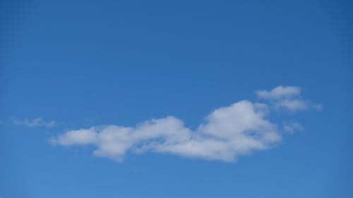 元旦短信祝福語(yǔ)簡(jiǎn)單