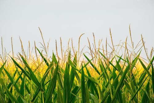 【熱門(mén)】數學(xué)日記范文10篇