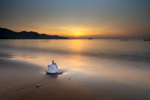 關(guān)于谷雨的詩(shī)歌