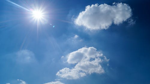 我的寵物太爭氣自己進(jìn)化成妖獸了小說(shuō)秦天明在線(xiàn)閱讀