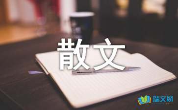 我們的那份愛(ài)散文隨筆