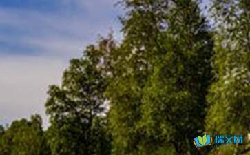 風(fēng)景如畫隨筆500字