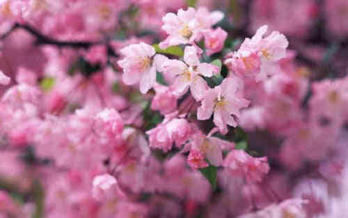 適合發(fā)說(shuō)說(shuō)的經(jīng)典語(yǔ)錄（94條）