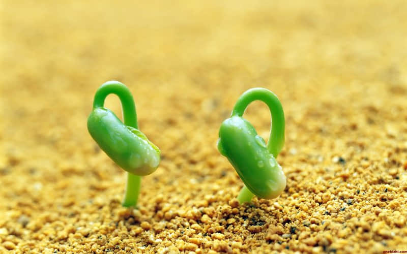 發(fā)奮圖強(qiáng)的經(jīng)典說說（57條）