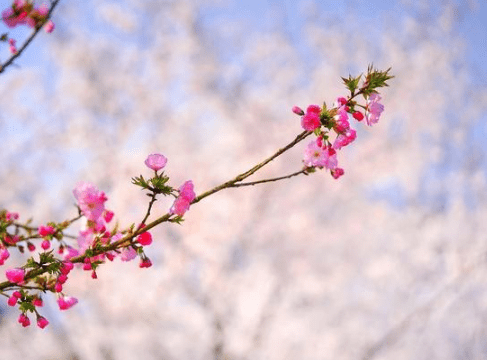 感到憂郁的空間經(jīng)典說(shuō)說(shuō)（71條）