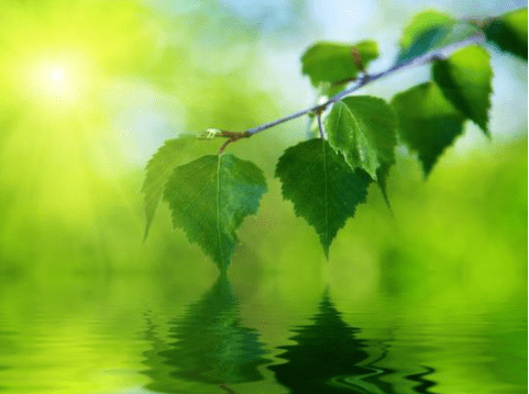 充滿詩意略帶傷感的經(jīng)典說說（55條）