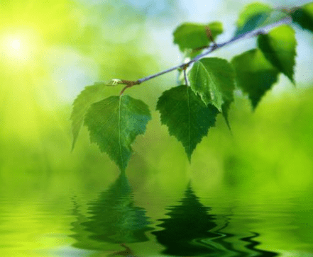 讓人忍不住點(diǎn)贊的經(jīng)典說說（65條）