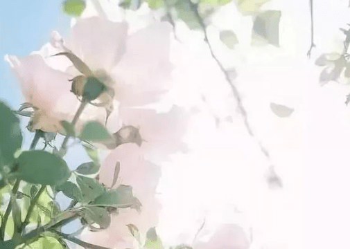 有個性文字控的經典說說（68條）