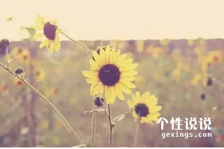 關(guān)于人生成長(zhǎng)心靈雞湯的經(jīng)典說(shuō)說(shuō)