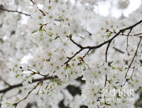 致自己很窩心的陽光經(jīng)典說說（55條）