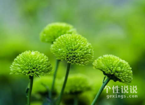 2019致自己的經(jīng)典說(shuō)說(shuō)（64條）