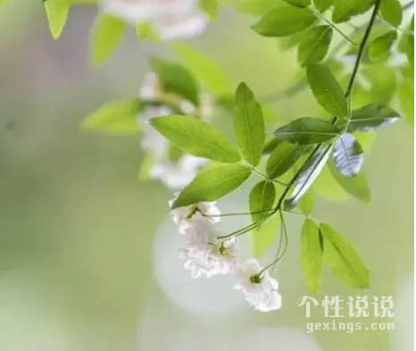一句話早安溫暖的經(jīng)典說說（45條）