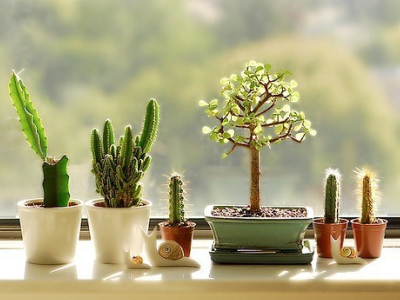 說說心情 我們都犯過同一個錯，和喜歡的人吵架，和陌生人講心里話