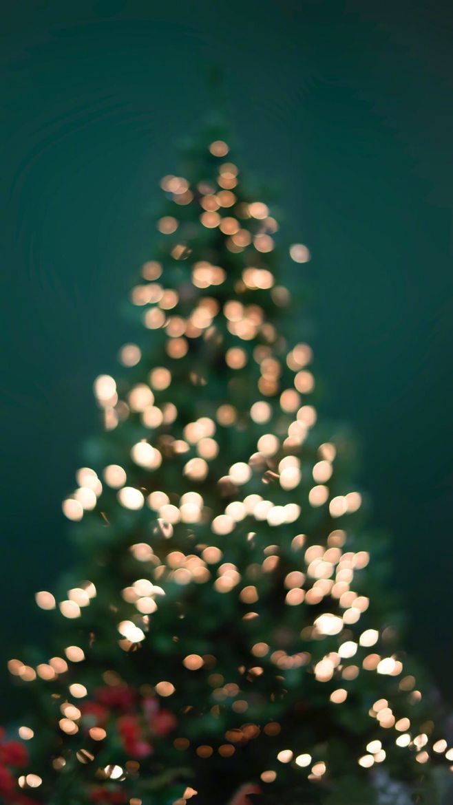 關于平安夜圣誕節(jié)的說說句子