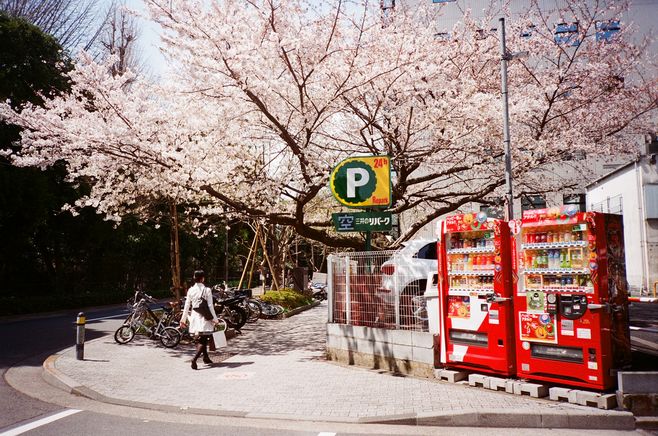 當(dāng)遺忘變成另一種開始，淡了回憶，痛最真實(shí)