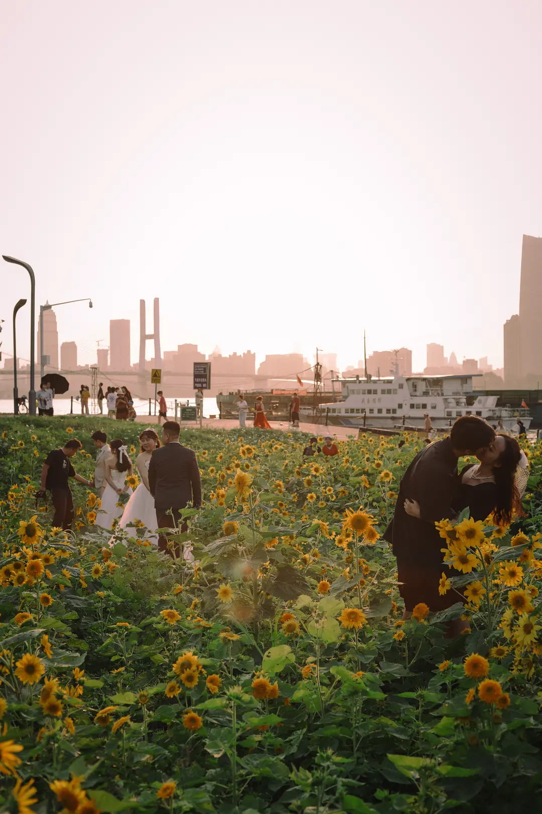 我在豆瓣里學(xué)寫(xiě)文案