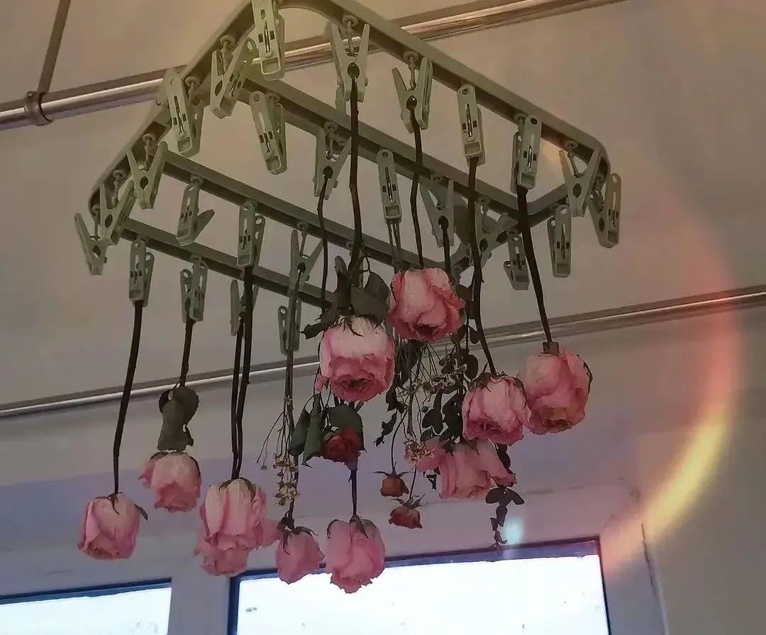 我在豆瓣里學(xué)寫(xiě)文案