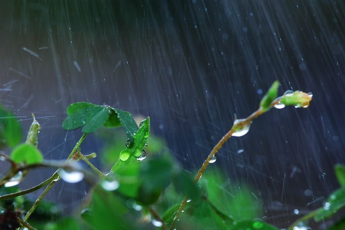 炎熱的夏天的清爽文案 橙色黃昏相擁薄荷的黎明