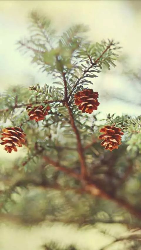 句句走心的經(jīng)典語錄 任何不快樂的時(shí)光都是浪費(fèi)