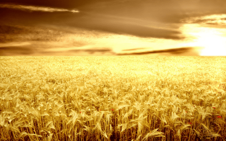 心情很低落說說發(fā)朋友圈一句話