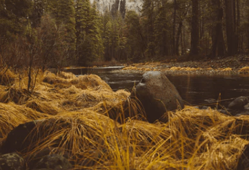 最火心碎到撕心裂肺的句子大全 最火心碎到撕心裂肺的句子大全