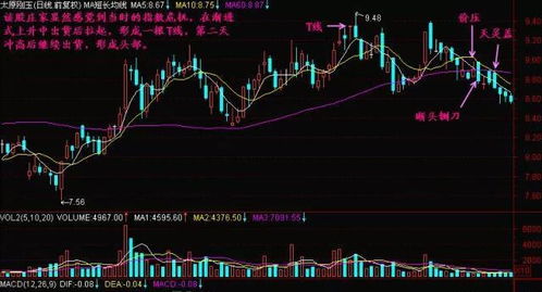 股票入門(mén)基礎知識t1