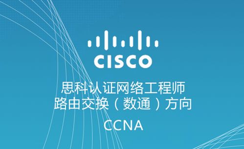 思科,基礎知識,網(wǎng)絡(luò )工程師