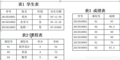 c類(lèi)公共基礎知識題型