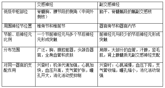 基礎知識,簡(jiǎn)單,醫學(xué)