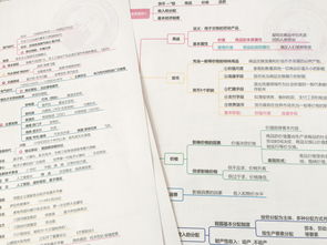 綜合知識和能力素質(zhì)公共基礎(chǔ)知識