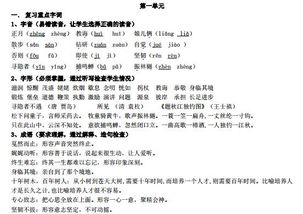 五上語(yǔ)文基礎知識題