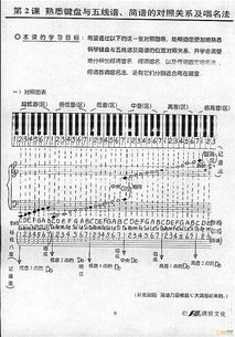 樂(lè )理,基礎,知識