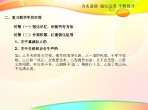 夯實(shí)基礎知識提高語(yǔ)文