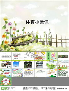 基礎知識,體育,ppt