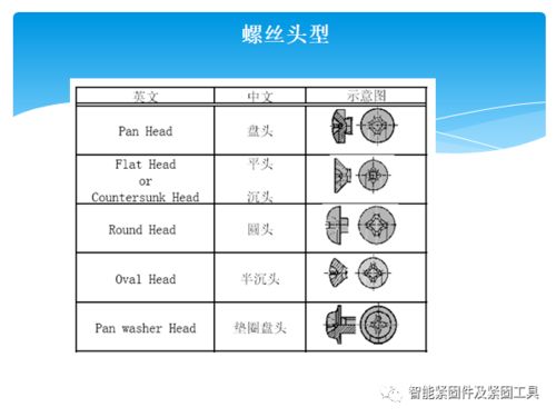 怎樣去講解表皮基礎知識