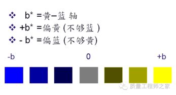 染色打樣基礎知識,美發(fā)染色基礎知識,陽(yáng)極氧化染色原理