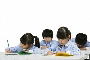 學(xué)生基礎知識掌握不扎實(shí)應該