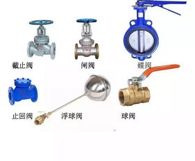 排水執法基礎知識
