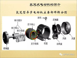 基礎知識,電機,電器